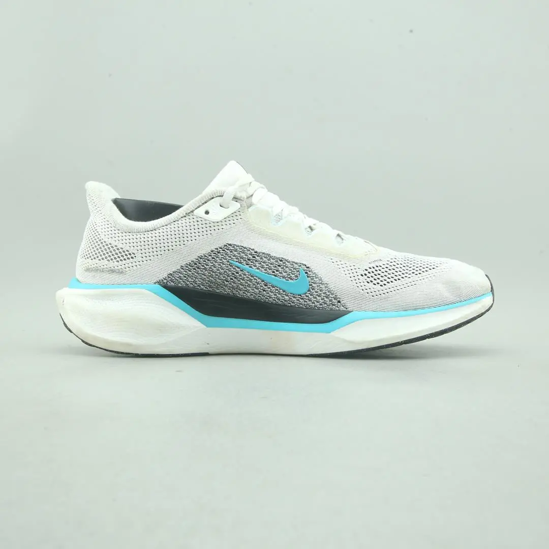 Nike Air Zoom Pegasus 41 2