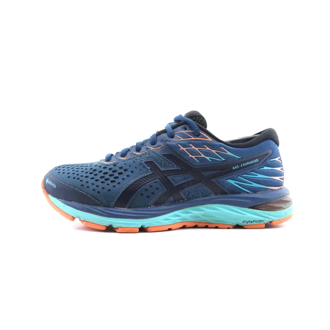 Asics Gel Cumulus 21 Gore Tex 1