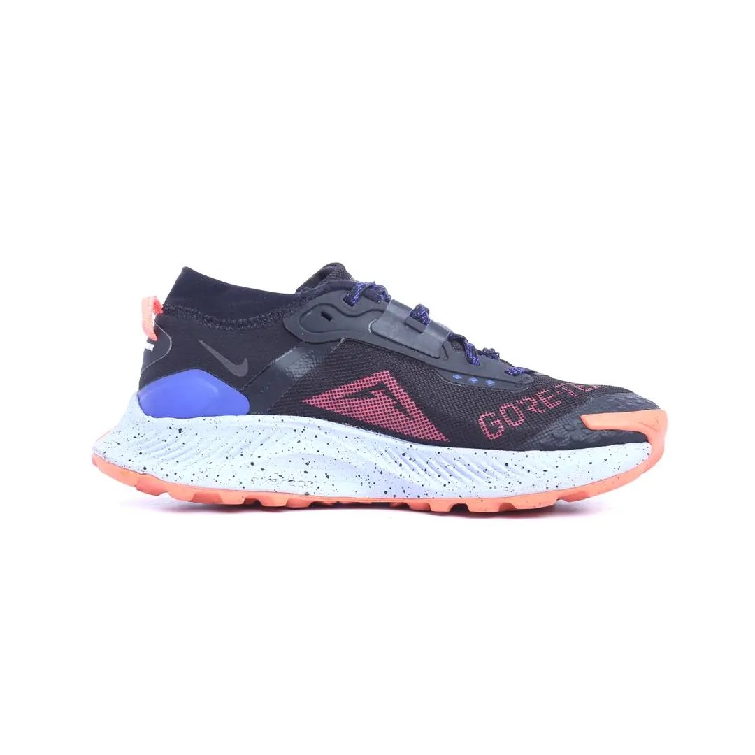 Nike Pegasus Trail 3 Gore-Tex 2
