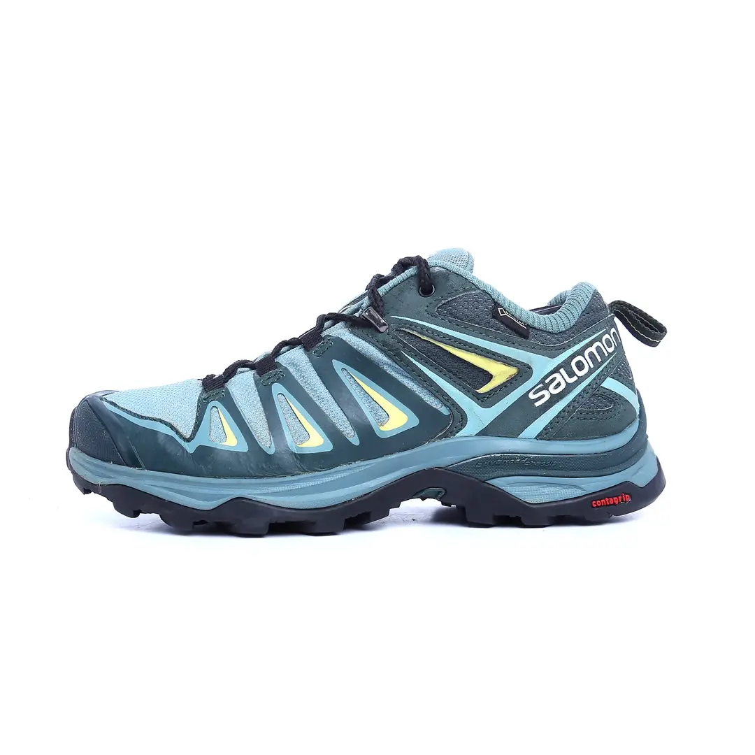 Salomon X Ultra 1