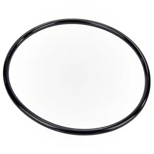 Pentair Pump Lid O-Ring 350013Z 1