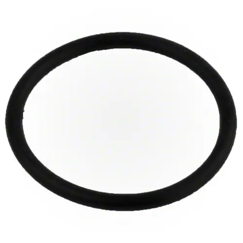 Pentair Optiflo Pump O-Ring 350103 1