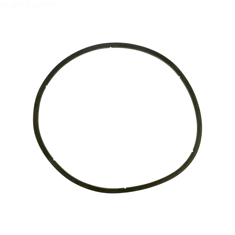 Pentair Gasket Lid 350166Z 1