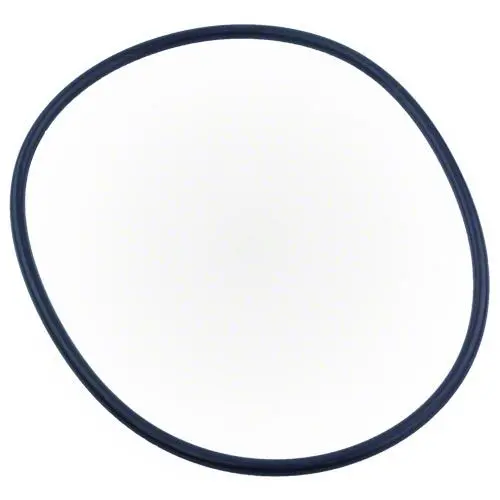 Pentair Xf Series Pump Seal Plate O-Ring 351446Z 1