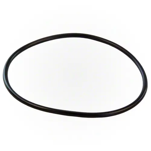 Pentair Hiflow Valve O-Ring 354053 1