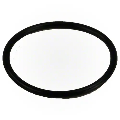 Pentair O-Ring 354571 1
