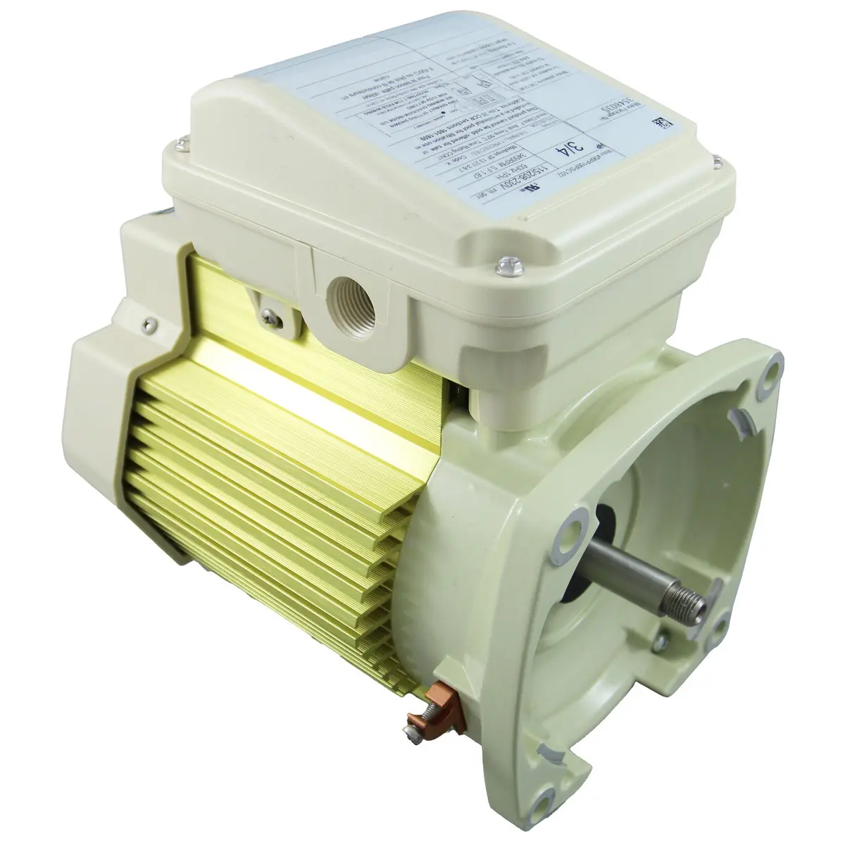 Pentair Tefc Motor 354803S 1
