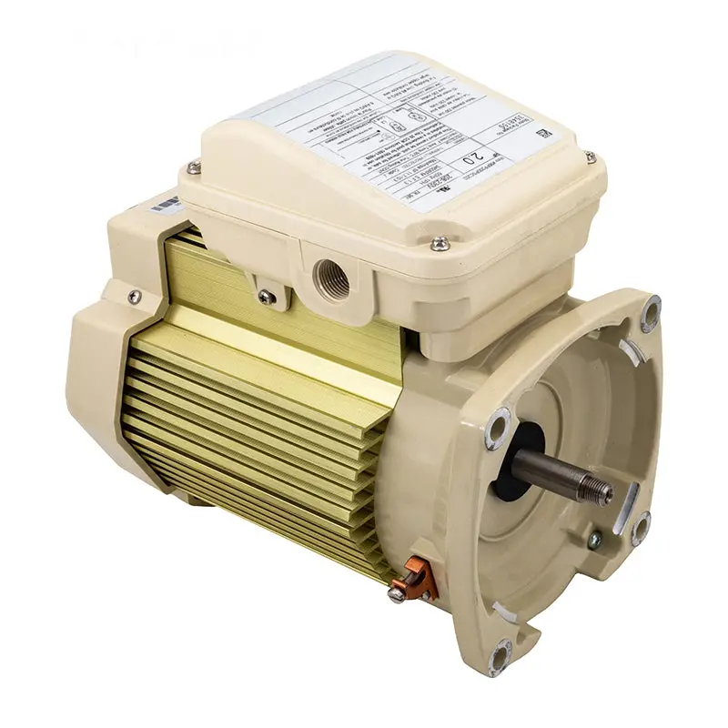 Pentair Tefc Motor 354815S 1