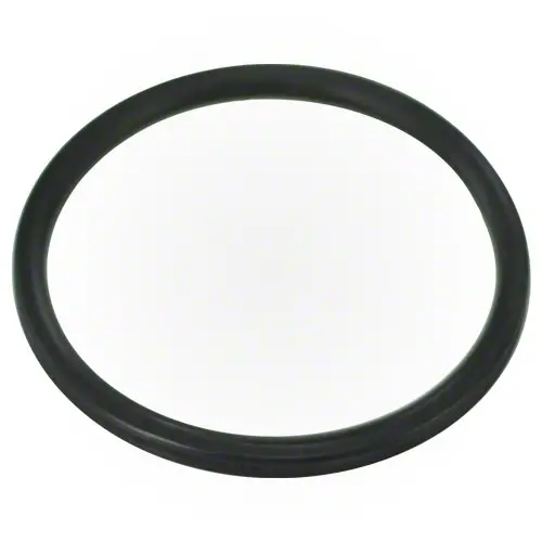 Pentair Diffuser O-Ring 355030Z 1