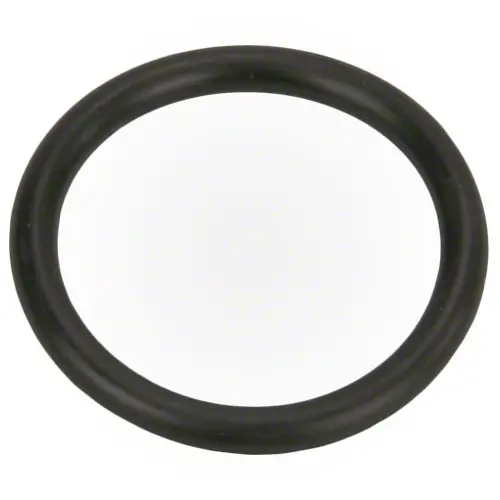Pentair Thermal Regulator Cap O-Ring 35505-1313 1