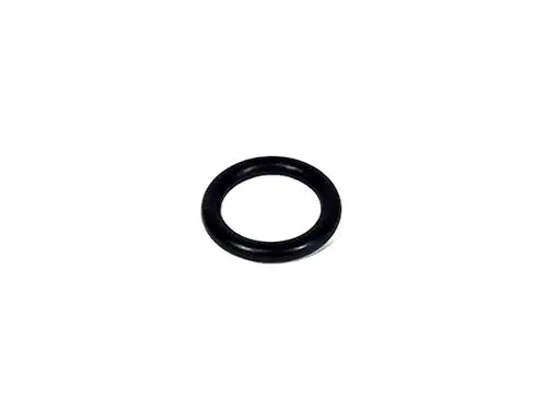 Sta-Rite Filter O-Ring 35505-1423Z 1