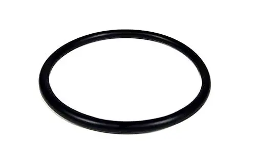 Pentair O-Ring 35505-1425Z 1