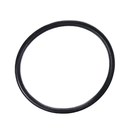 Sta-Rite O-Ring 35505-1428Z 1