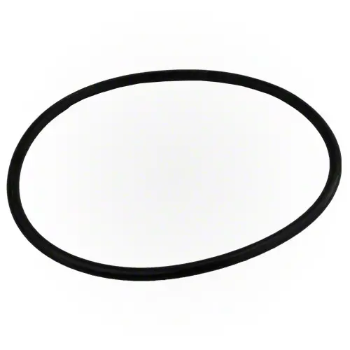Pentair Pump Lid O-Ring 35505-1440 1