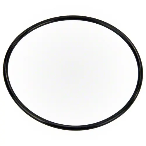 Pentair Pump Diffuser O-Ring 355227Z 1