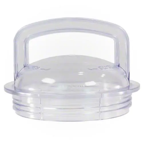 Pentair Pump Lid 355301Z 1