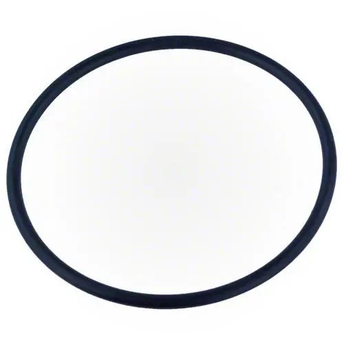 Pentair Diffuser O-Ring 355331Z 1