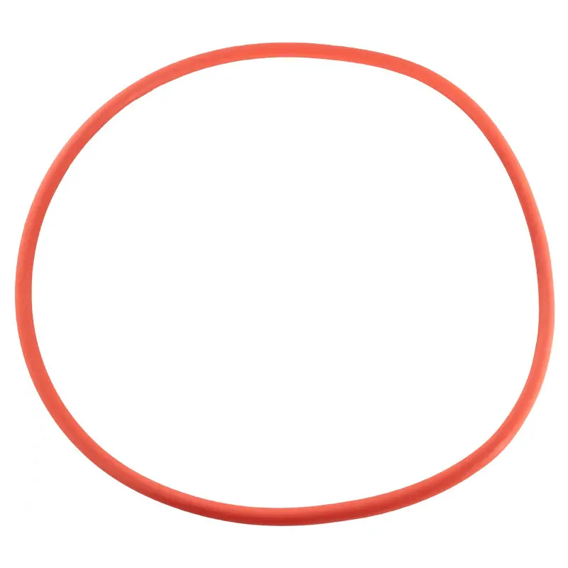 Pentair Seal Plate O-Ring 356173Z 1