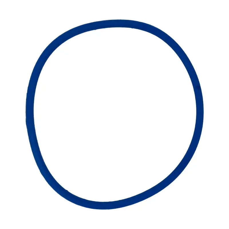 Pentair Lid O-Ring 356189Z 1
