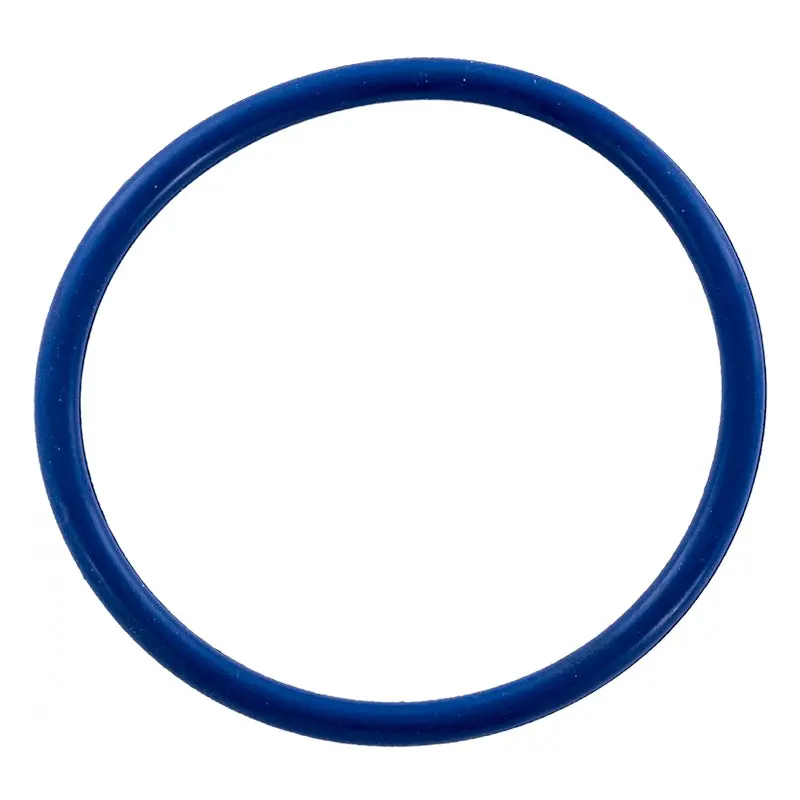 Pentair Diffuser O-Ring 356190Z 1