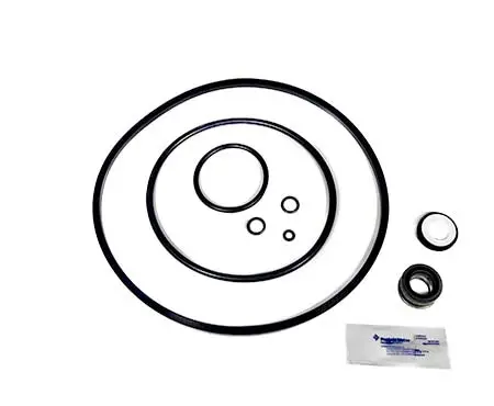 Pentair Pump Seal Quick Kit 356196 2