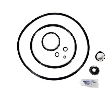 Pentair Pump Seal Quick Kit 356196 1