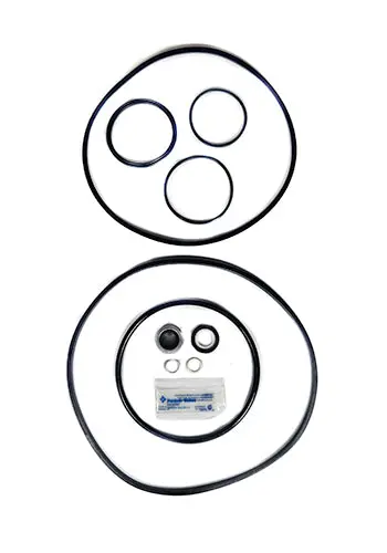 Pentair Pump Seal Quick Kit 356199 2