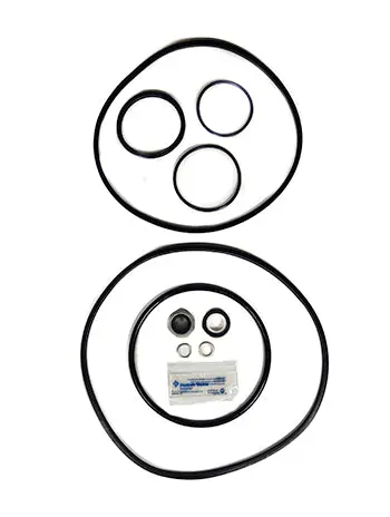 Pentair Pump Seal Quick Kit 356199 1