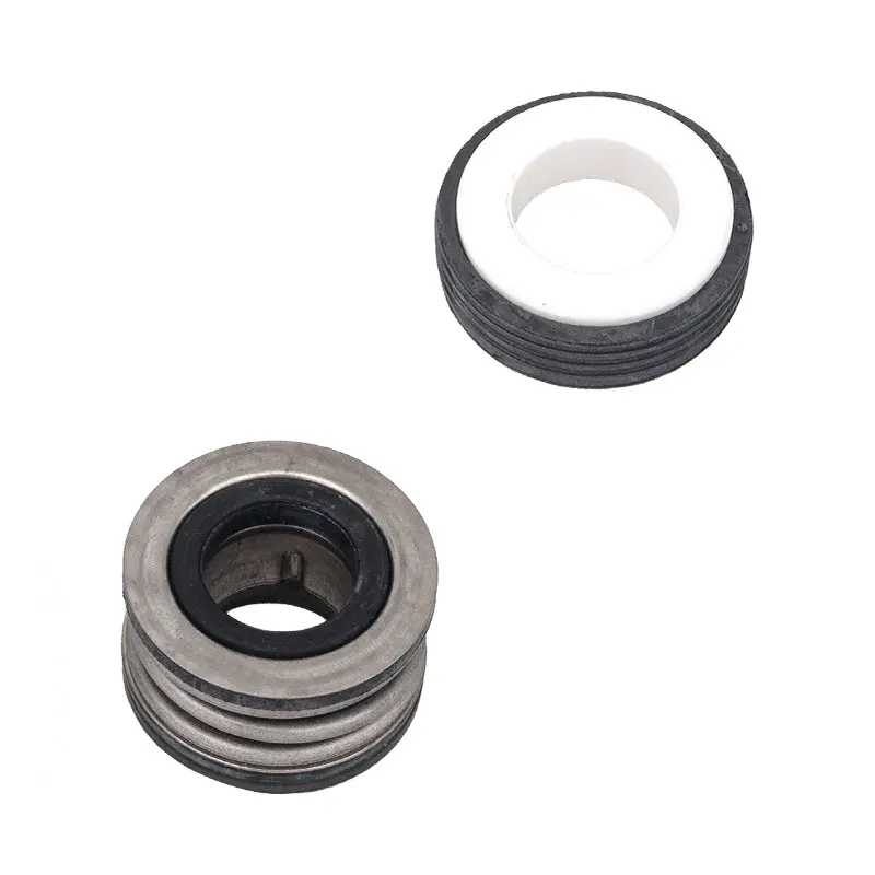 Pentair Shaft Seal 356210S 1