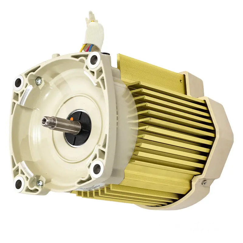 Pentair Motor 356286S 1