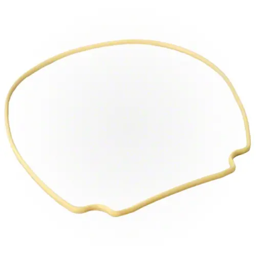 Pentair Pump Seal Plate Gasket 357102Z 1
