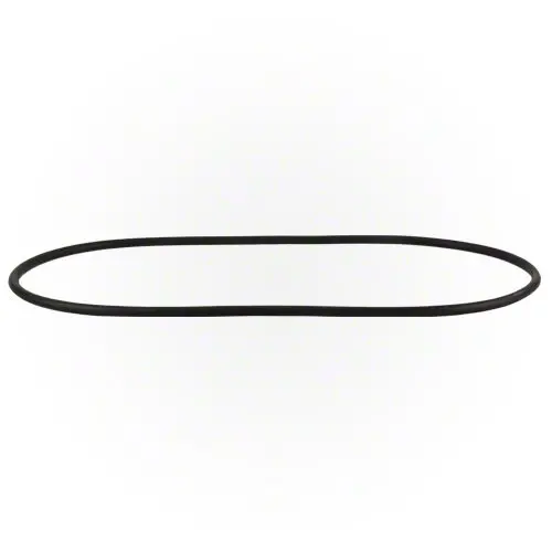 Pentair Filter Tank O-Ring 39010200Z 1