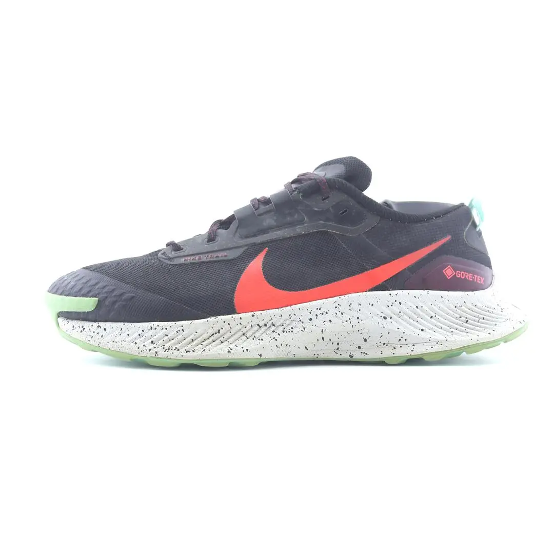 Nike Pegasus Trail 3 Gore-Tex 1