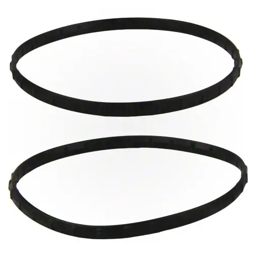 Pentair Union Diamond Seal Kit 410016Z - Set Of Two 1