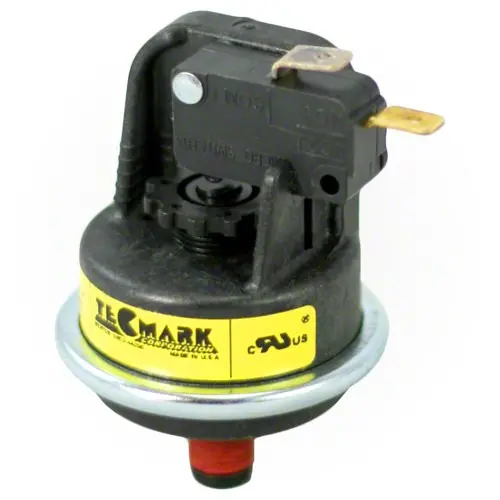Pentair Water Pressure Switch 42001-0060S 1