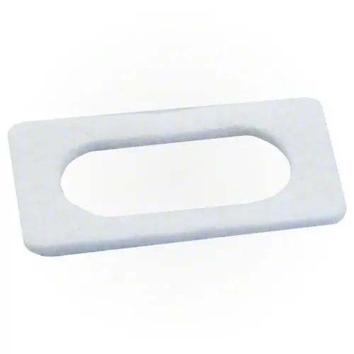 Pentair Igniter Gasket 42001-0066S 1