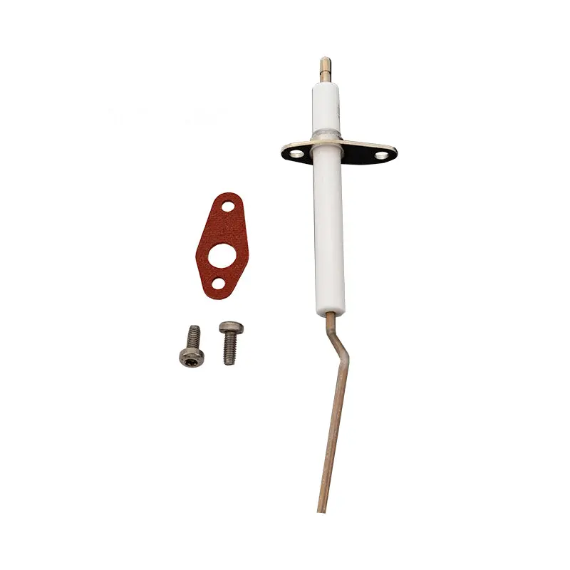 Pentair Flame Sensor 462023Z 1