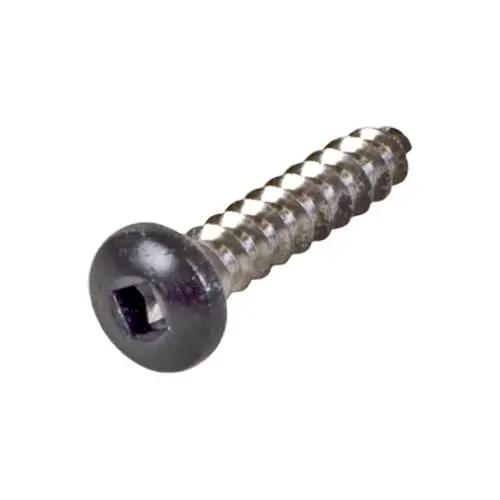 Pentair Button Head Torax Screw 474197 1