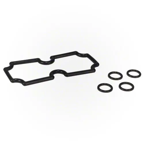 Pentair Mastertemp 125 Tubesheet Sealing O-Ring Kit 474973 1