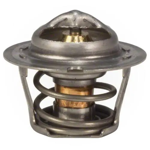 Pentair Mastertemp 125 Thermal Regulator 474989 1