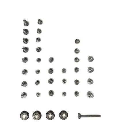 Pentair Heat Exchanger Screws 475606 2