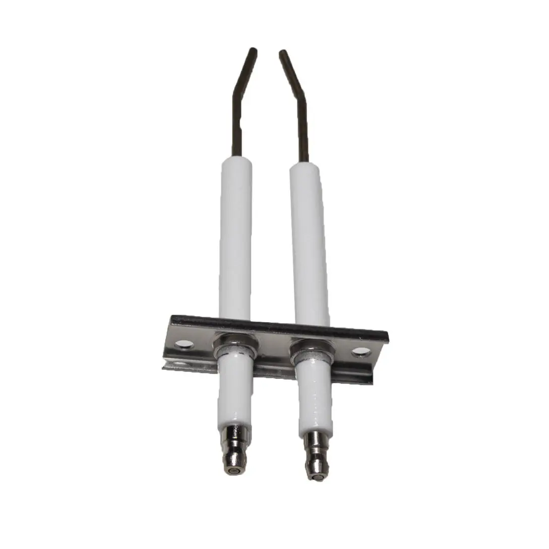 Pentair Spark Electrodes 476081Z 2