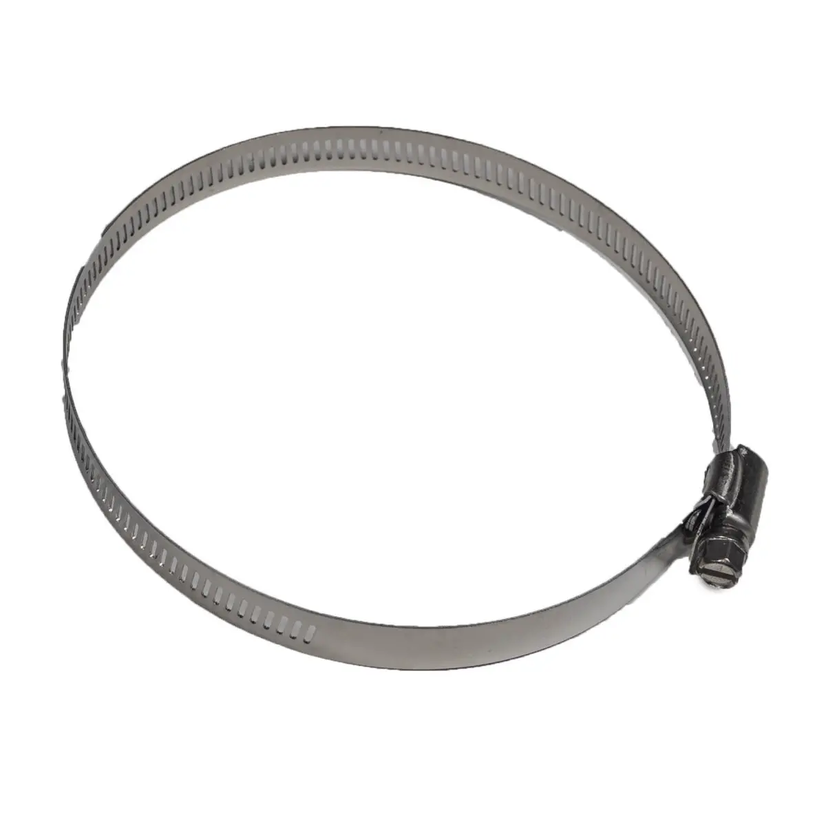 Pentair Hose Clamp 476168Z 1