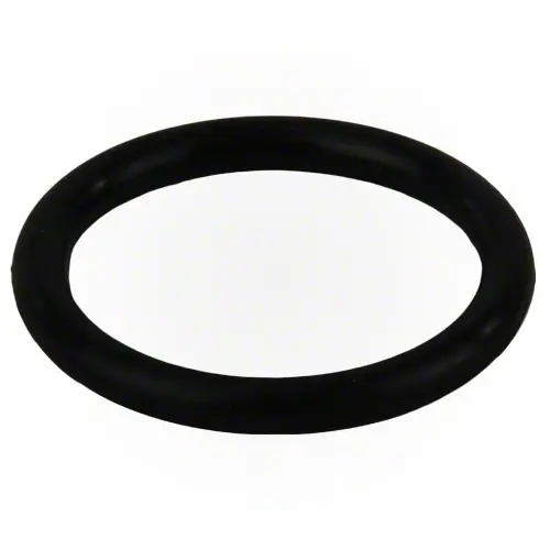 Pentair O-Ring 51005000 1