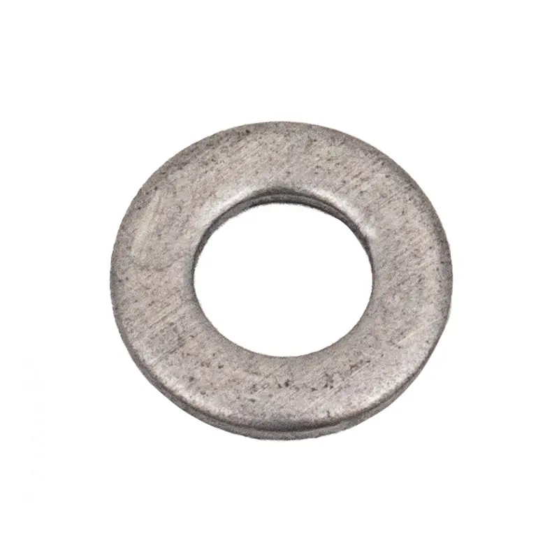 Pentair Flat Washer 51008500Z 1