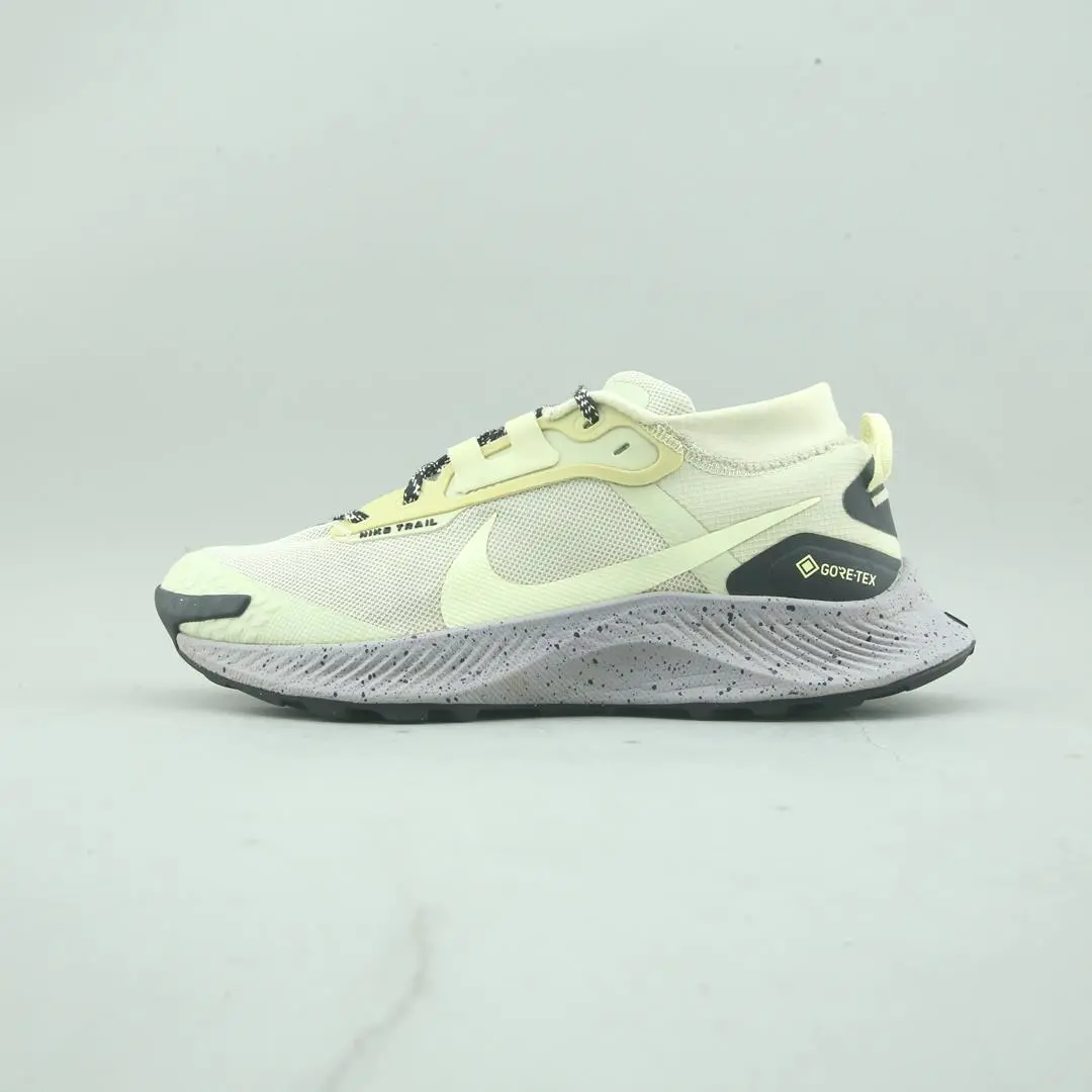 Nike Pegasus Trail 3 Gore-Tex 1