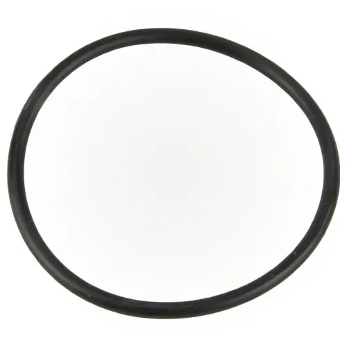 Pentair Intellichlor O-Rings 521147 - 10 Pack 1