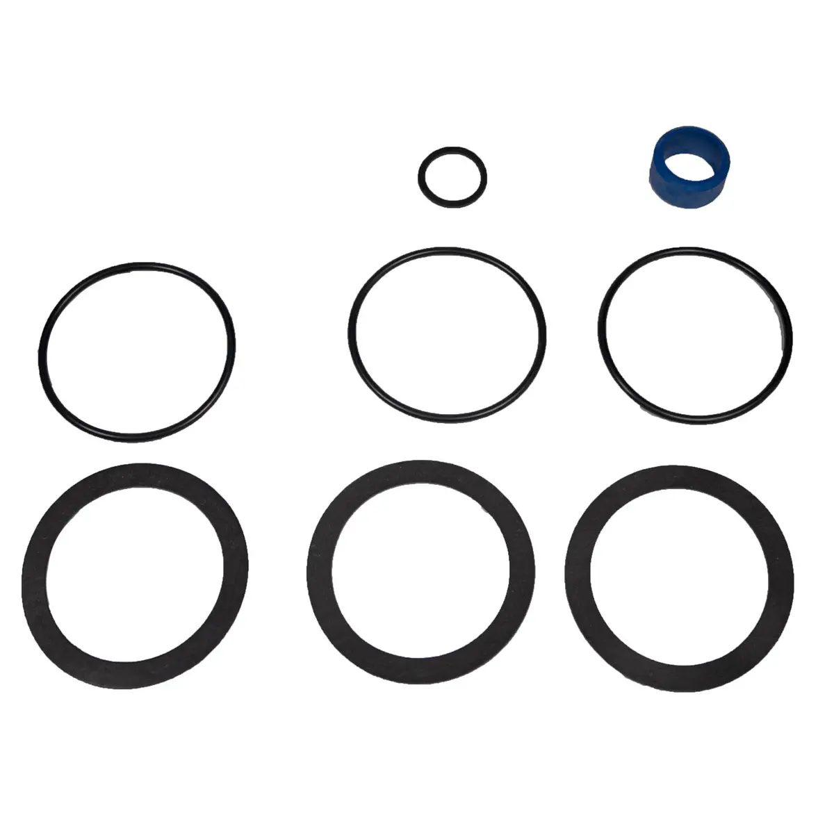 Pentair Seal Kit 523031 1