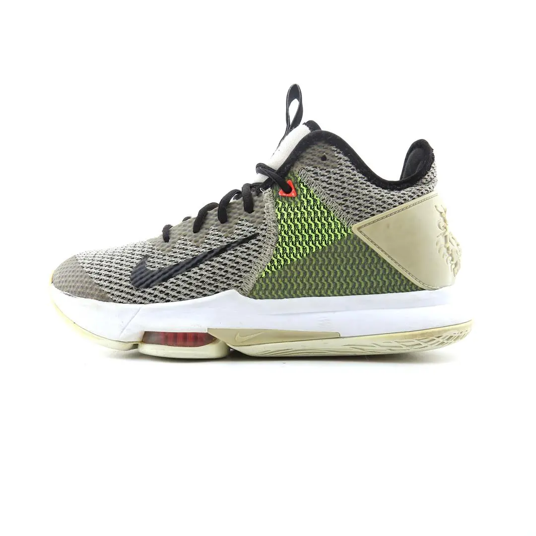 Nike  Lebron Witness 4 1