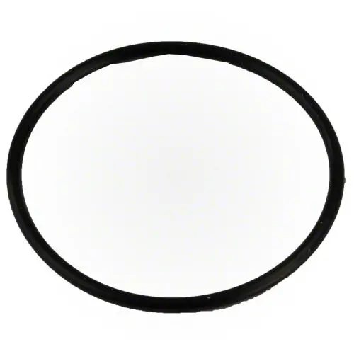 Pentair Bulkhead O-Ring 59000600 1